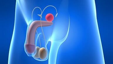 смазка у мужчин во время возбуждения что это